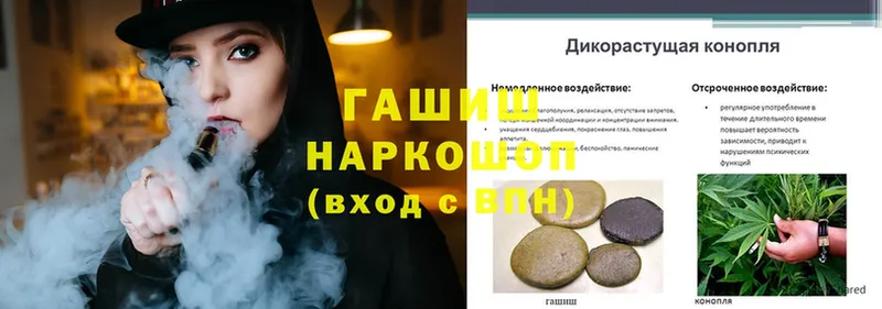 ГАШИШ hashish  Рассказово 