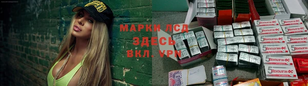 трава Магас