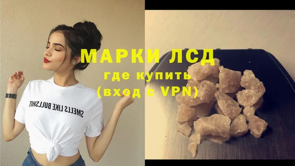 трава Магас