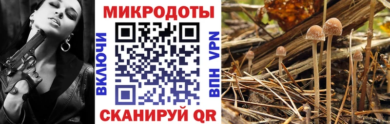 Псилоцибиновые грибы ЛСД  Рассказово 