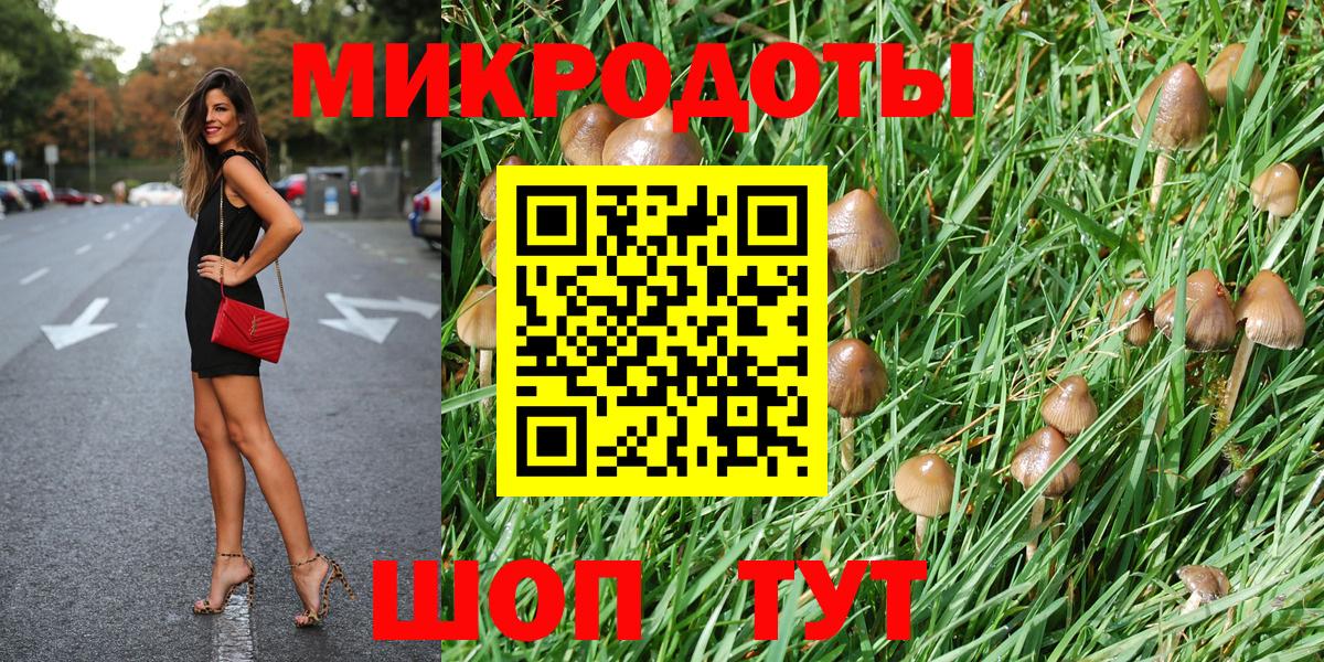 Рассказово  Галлюциногенные грибы Psilocybine cubensis  Вход с VPN 